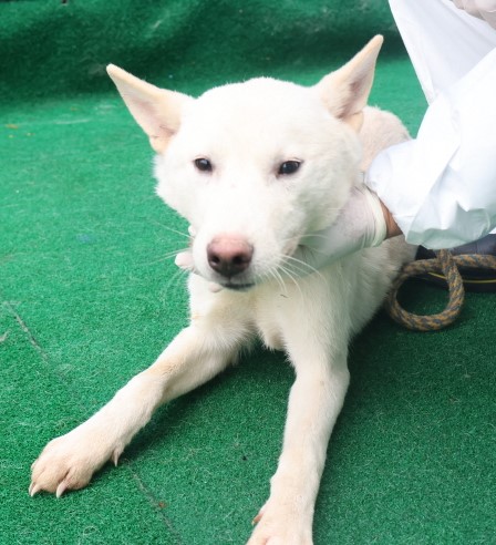 제주 동물보호센터_450650202403852
