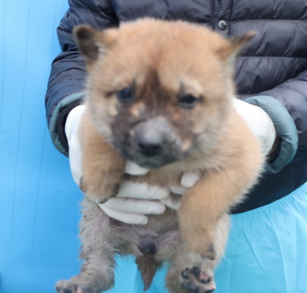 제주 동물보호센터_450650202403859