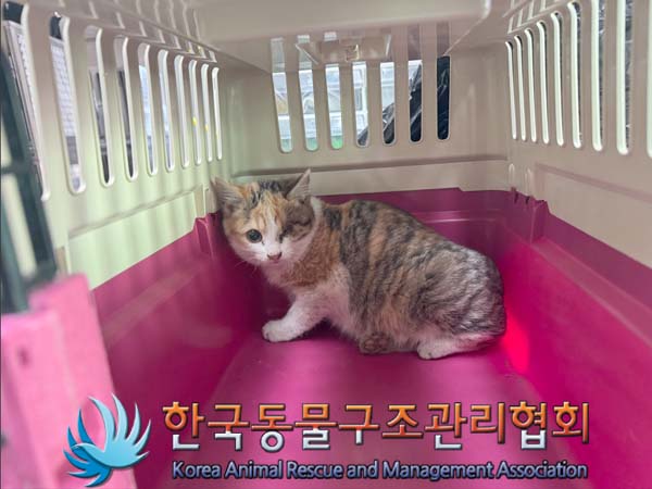 한국동물구조관리협회_441406202402275