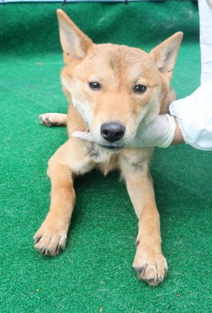 제주 동물보호센터_450650202403857
