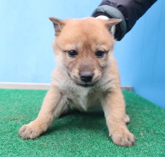제주 동물보호센터_450650202403860