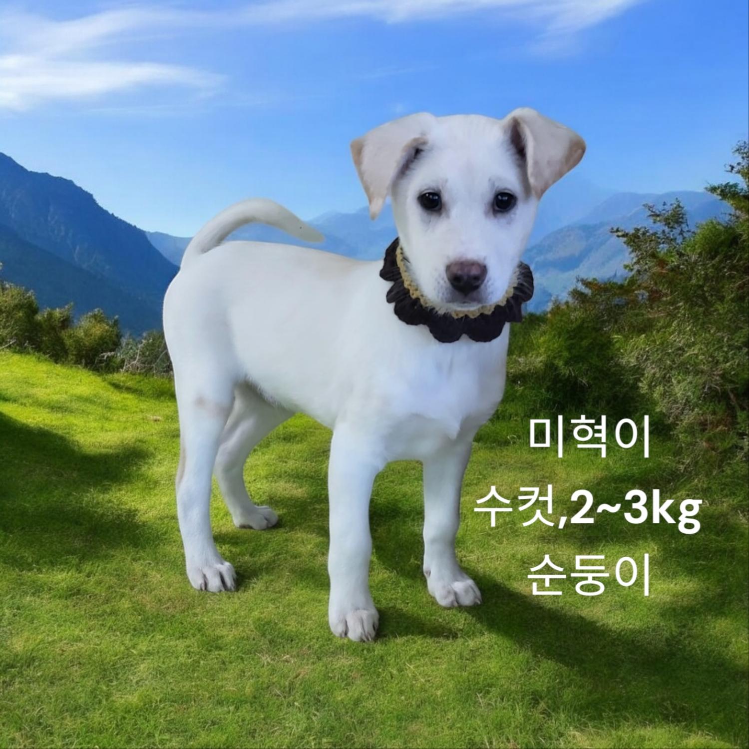 성주유기동물보호센터_447521202400725