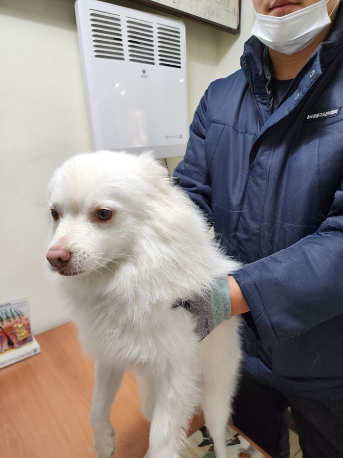 강현림동물병원_411314202400692