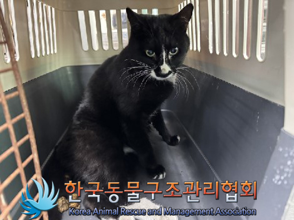 한국동물구조관리협회_411300202400689
