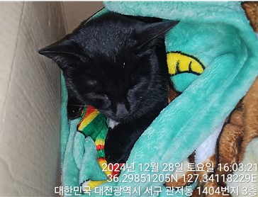 종료(안락사) 한국…