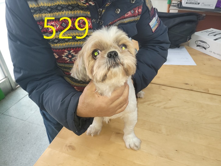 신영재동물병원_428355202400901