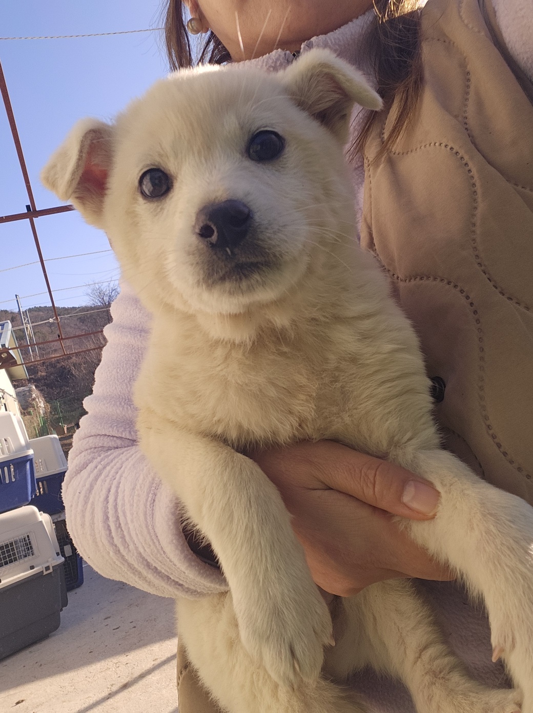 울산유기동물보호센터_431373202402133