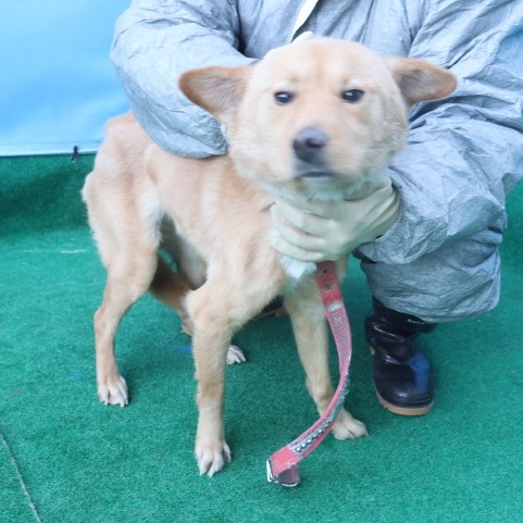 제주 동물보호센터_450650202403870