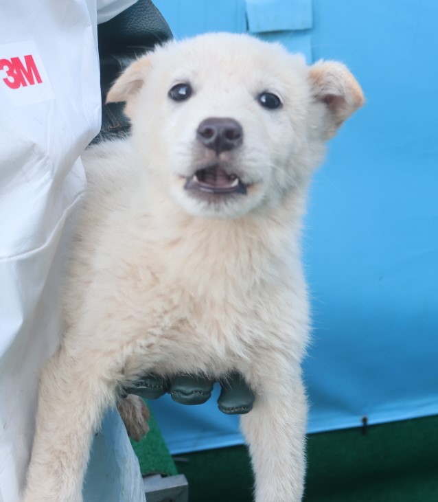제주 동물보호센터_450650202403876