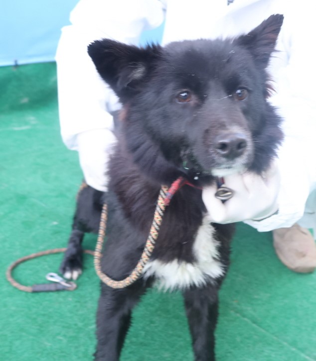제주 동물보호센터_450650202403871