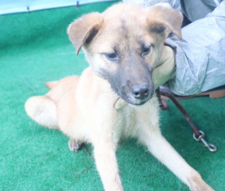 제주 동물보호센터_450650202403869