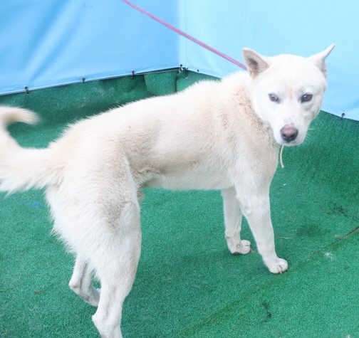 제주 동물보호센터_450650202403872