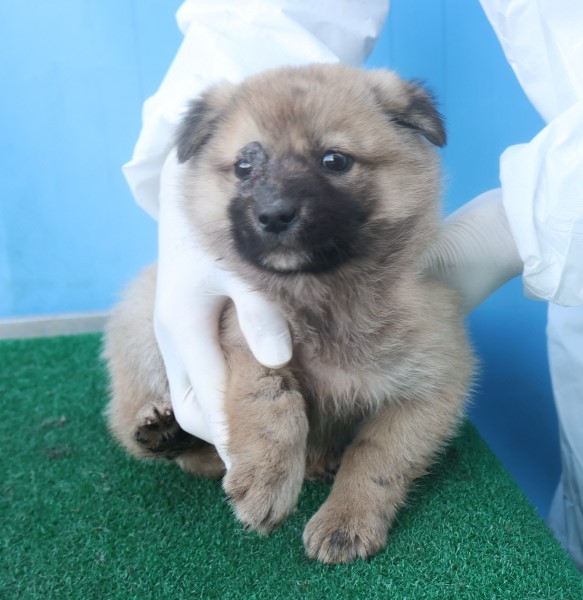 제주 동물보호센터_450650202403877