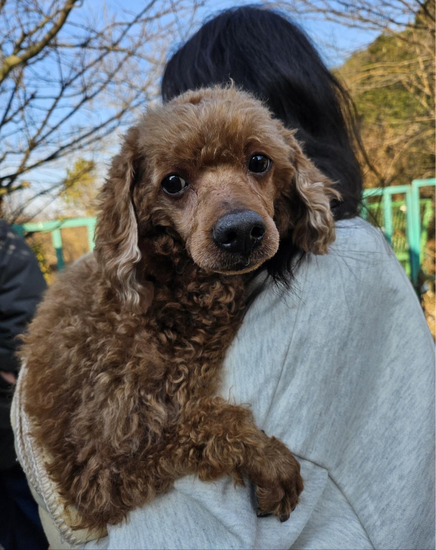 울산유기동물보호센터_431373202402137