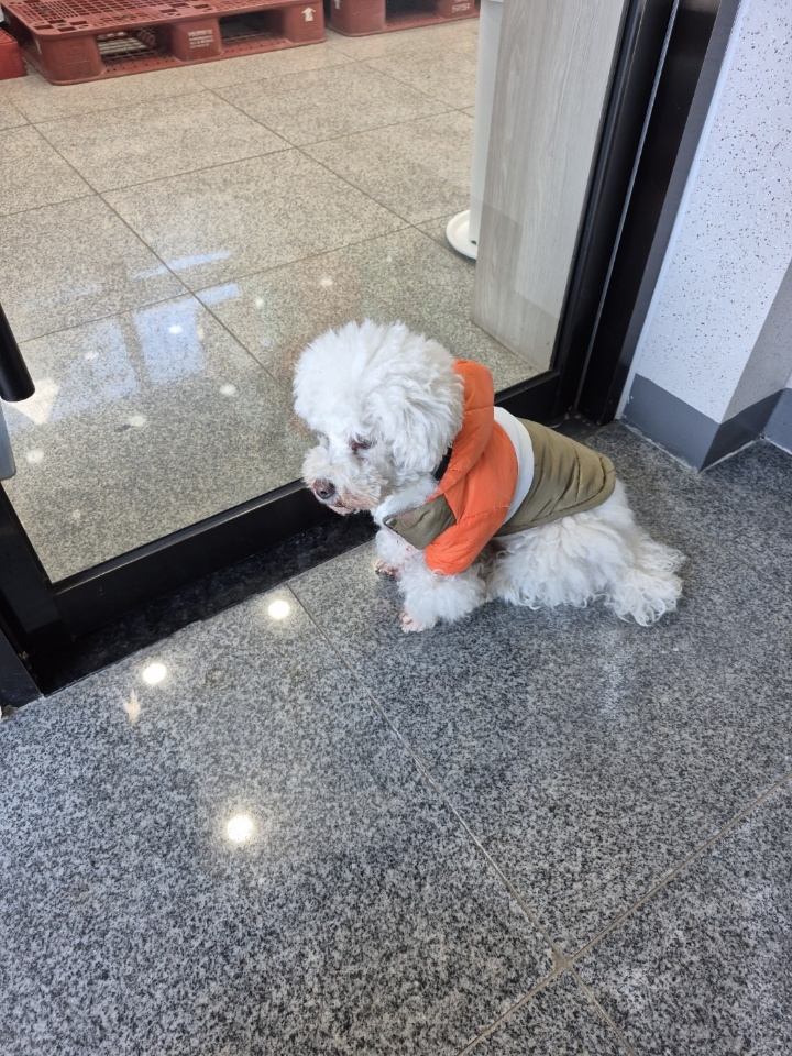 장성군동물보호센터_446498202400677