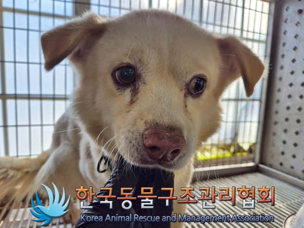 한국동물구조관리협회_441409202402050