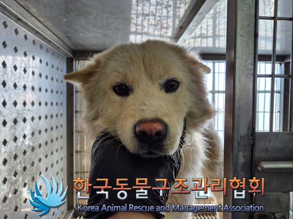 한국동물구조관리협회_441409202402049