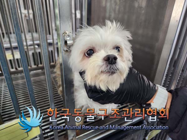 한국동물구조관리협회_411310202400691
