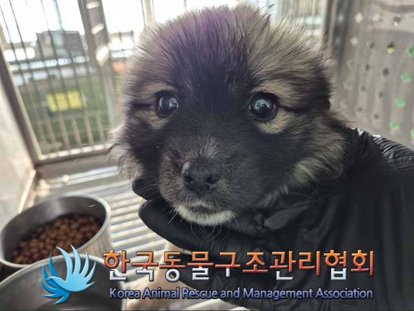 한국동물구조관리협회_441560202401482