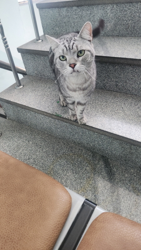 익산유기동물보호소_445468202500022