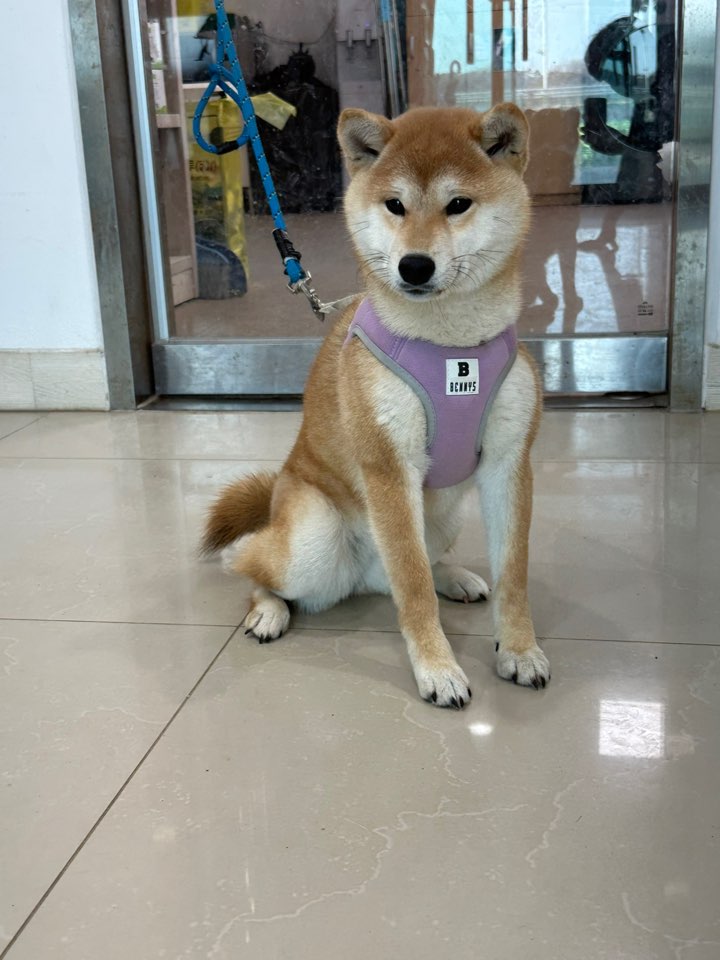반려동물보호센터_443571202403318