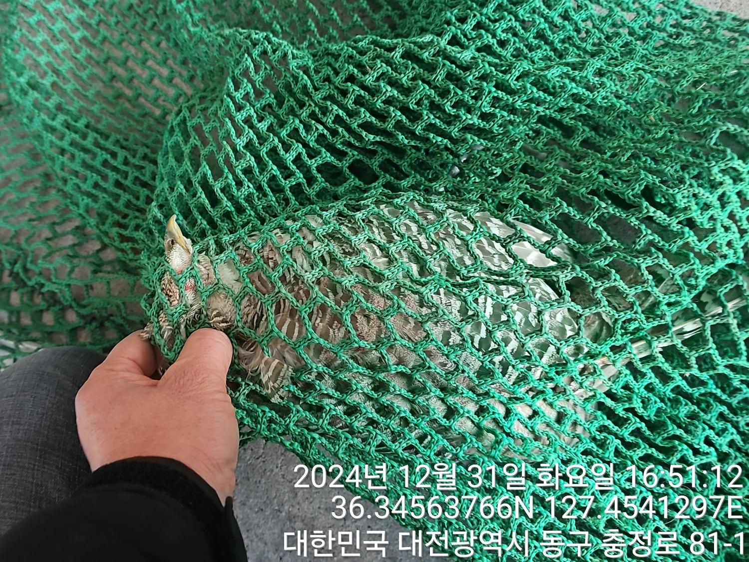 대전동물보호센터_430364202400824