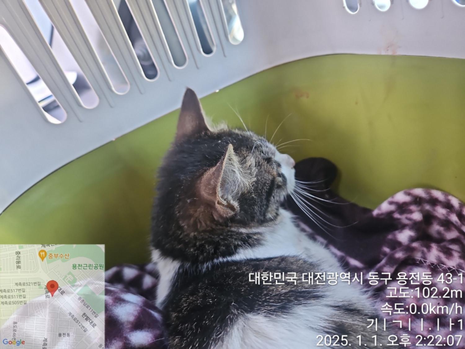대전동물보호센터_430368202500001