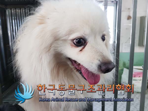 한국동물구조관리협회_441409202500001
