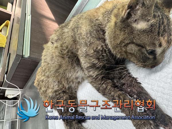 종료(자연사) 한국…