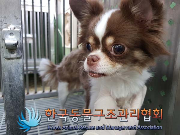 한국동물구조관리협회_411323202401090