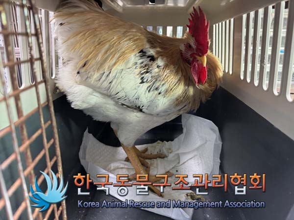 한국동물구조관리협회_411315202500001