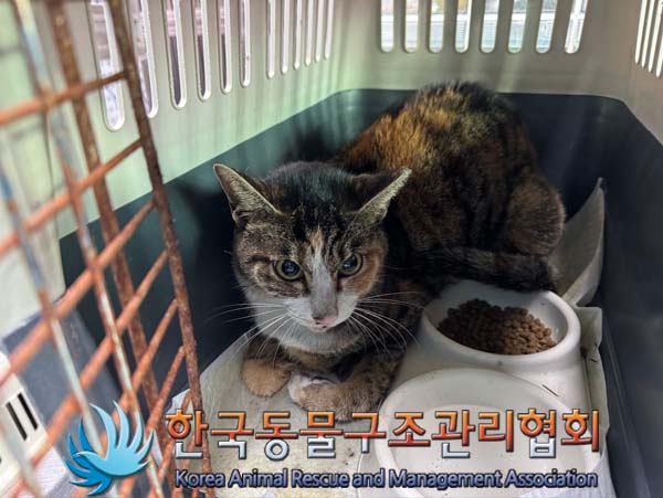 한국동물구조관리협회_411304202500001