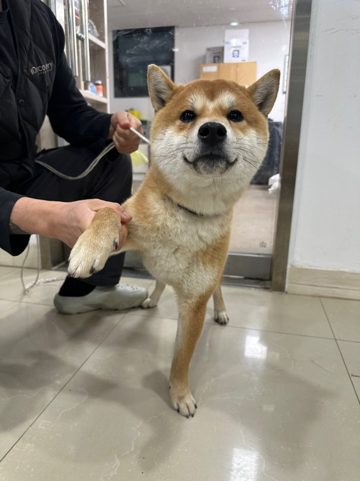반려동물보호센터_443571202500003