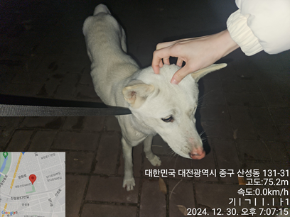 대전동물보호센터_430365202400617