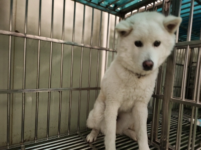 사단법인 동부_426340202400639