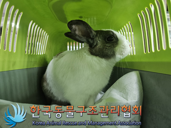 한국동물구조관리협회_441382202500001