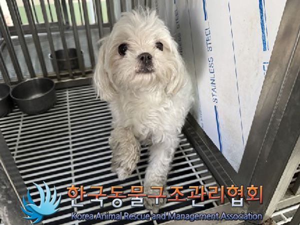 한국동물구조관리협회_441382202500002