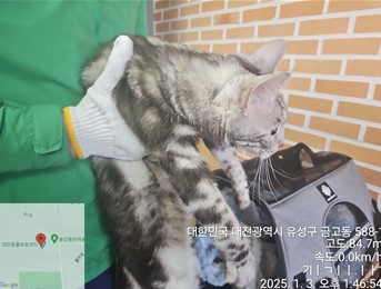 대전동물보호센터_430367202500003