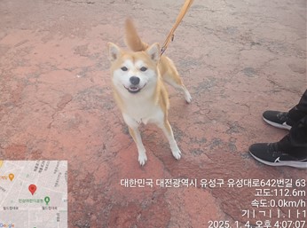 종료(반환) 시바의…