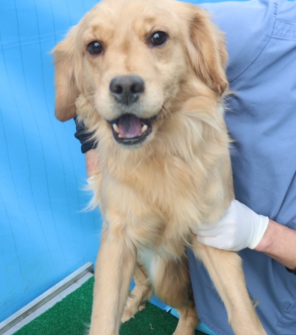 제주 동물보호센터_450650202500020