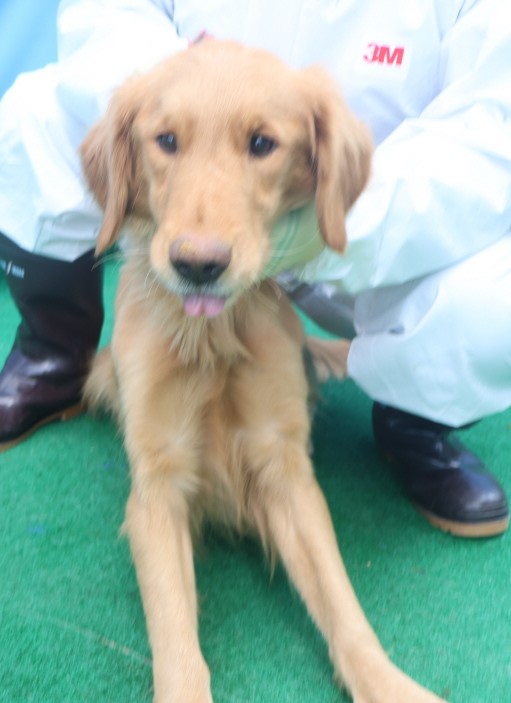 제주 동물보호센터_450650202500013