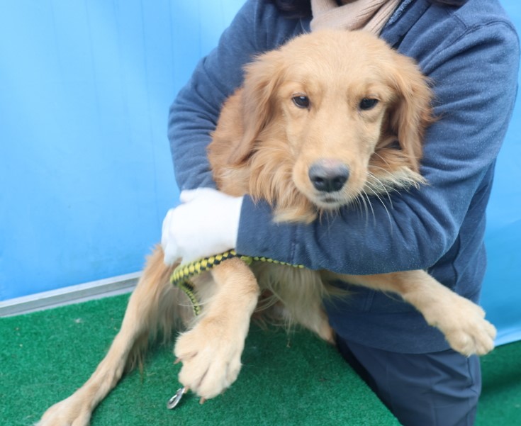 제주 동물보호센터_450650202500017