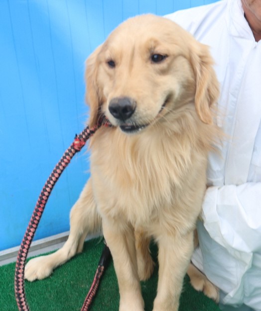 제주 동물보호센터_450650202500018
