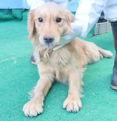 제주 동물보호센터_450650202500004