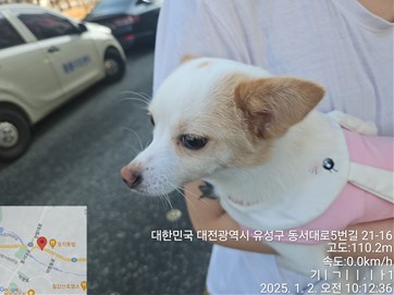 대전동물보호센터_430367202500002