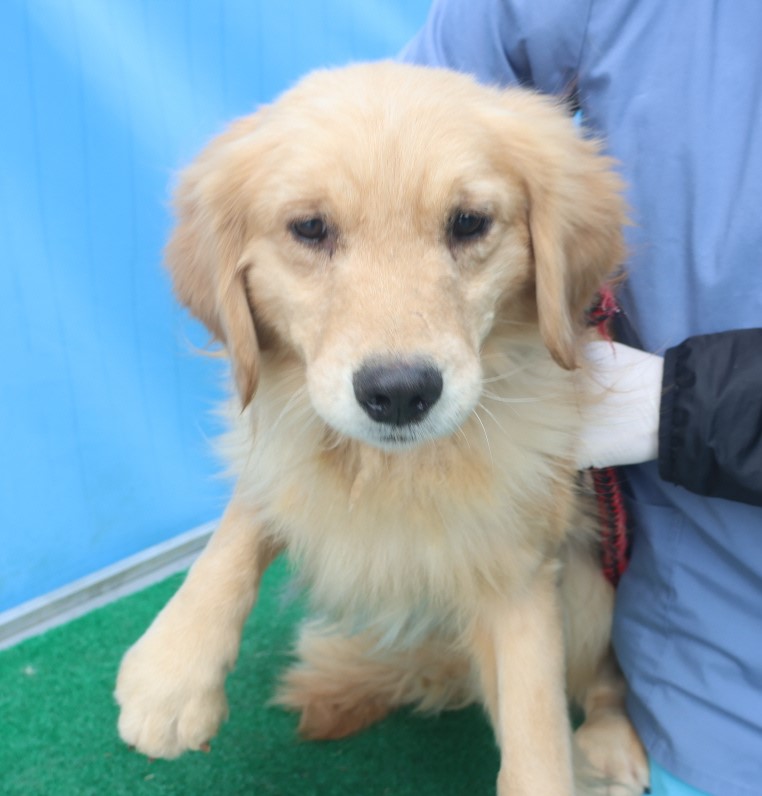 제주 동물보호센터_450650202500021