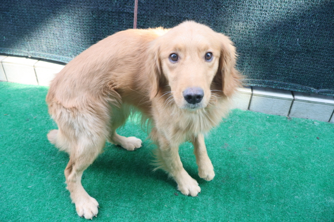 제주 동물보호센터_450650202500010