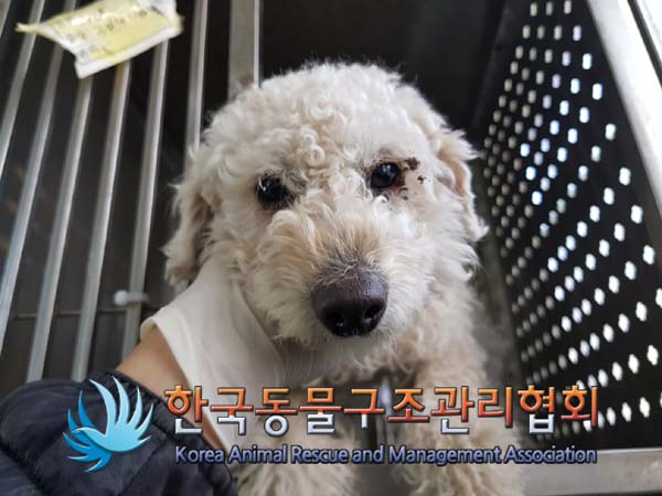 한국동물구조관리협회_441406202402280