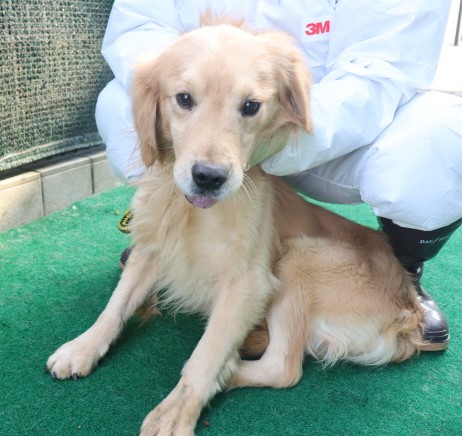 제주 동물보호센터_450650202500005