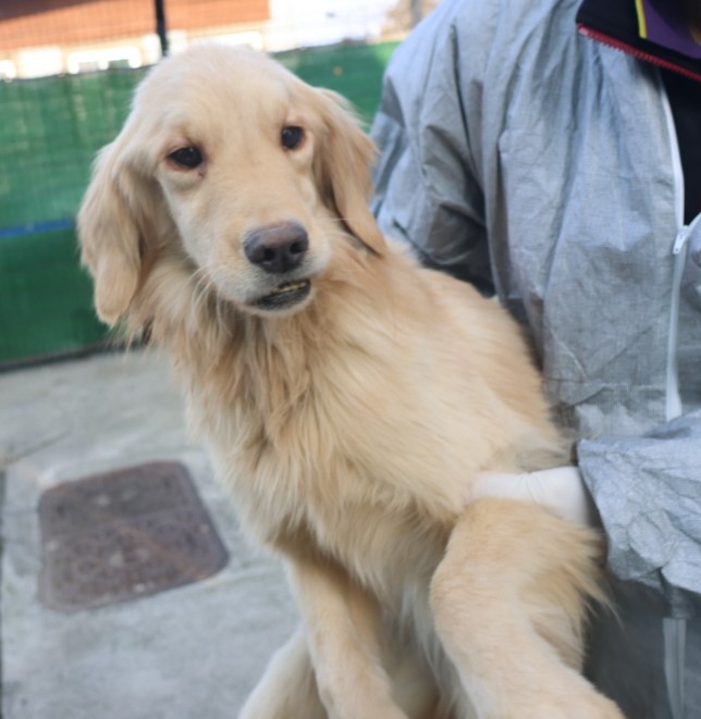 제주 동물보호센터_450650202500006
